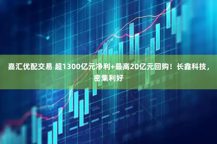 嘉汇优配交易 超1300亿元净利+最高20亿元回购！长鑫科技，密集利好
